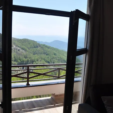 C10 Dvori * Kopaonik